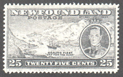 Newfoundland Scott 242 Mint VF (P14.1) - Click Image to Close